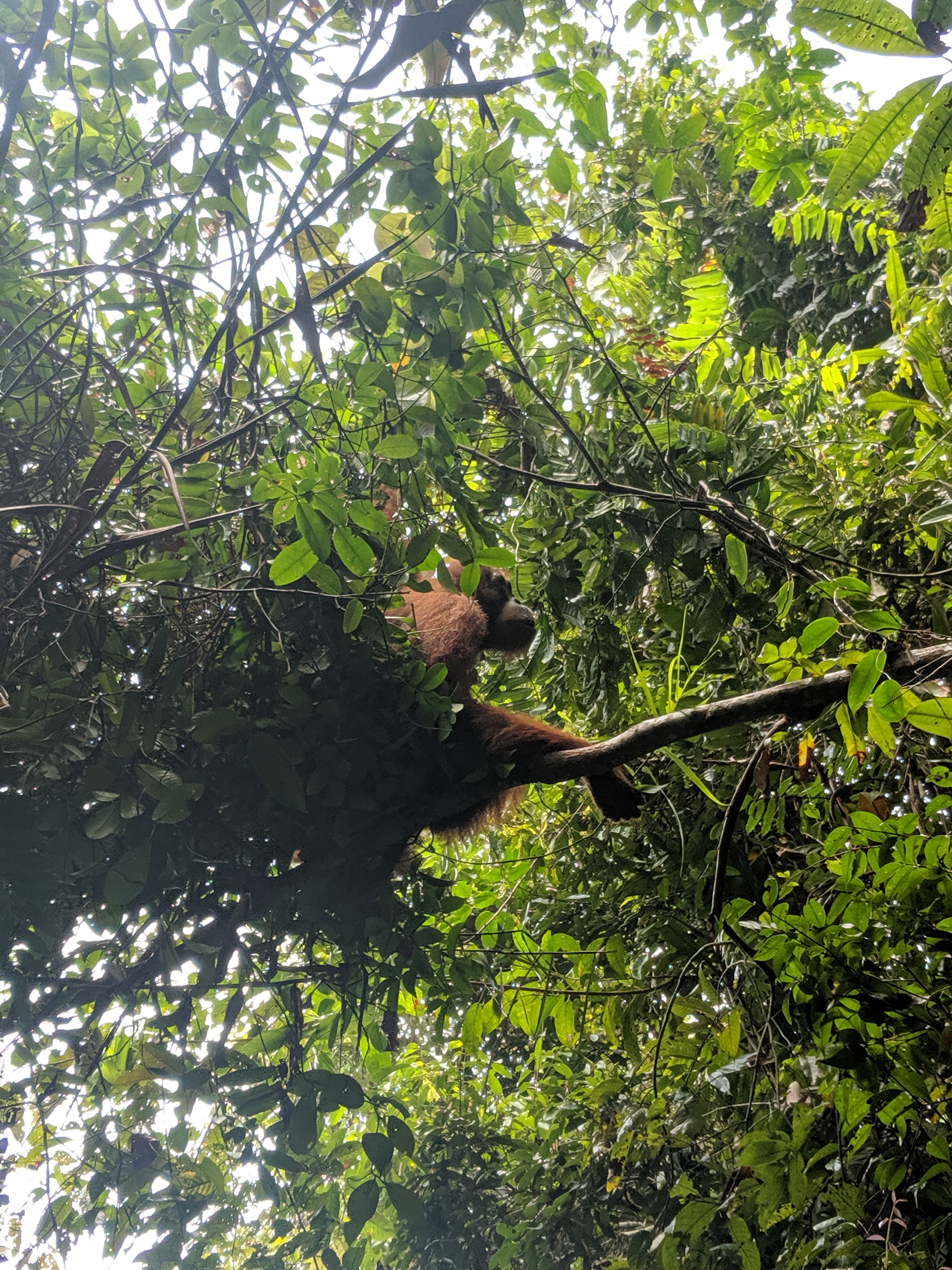 MVIMG_20190805_123143